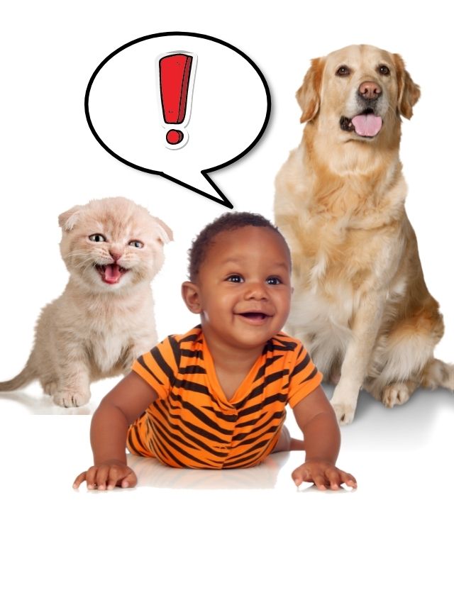 POSTER Cães e gatos gostam quando falamos com “vozinha de bebê”