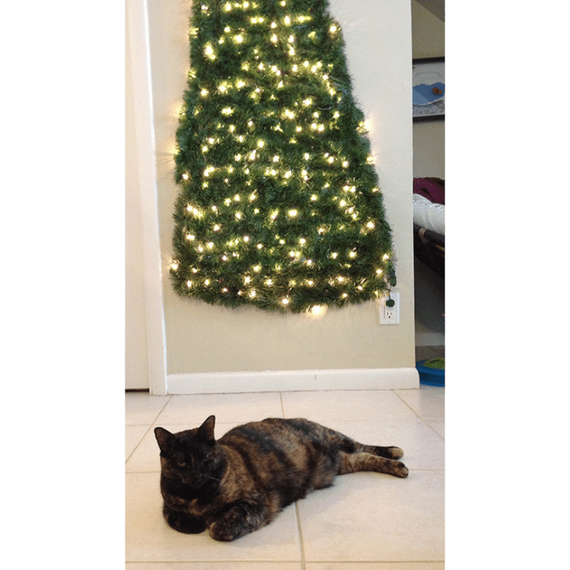 Decoração de árvore de Natal: 7 dicas para quem tem gatos